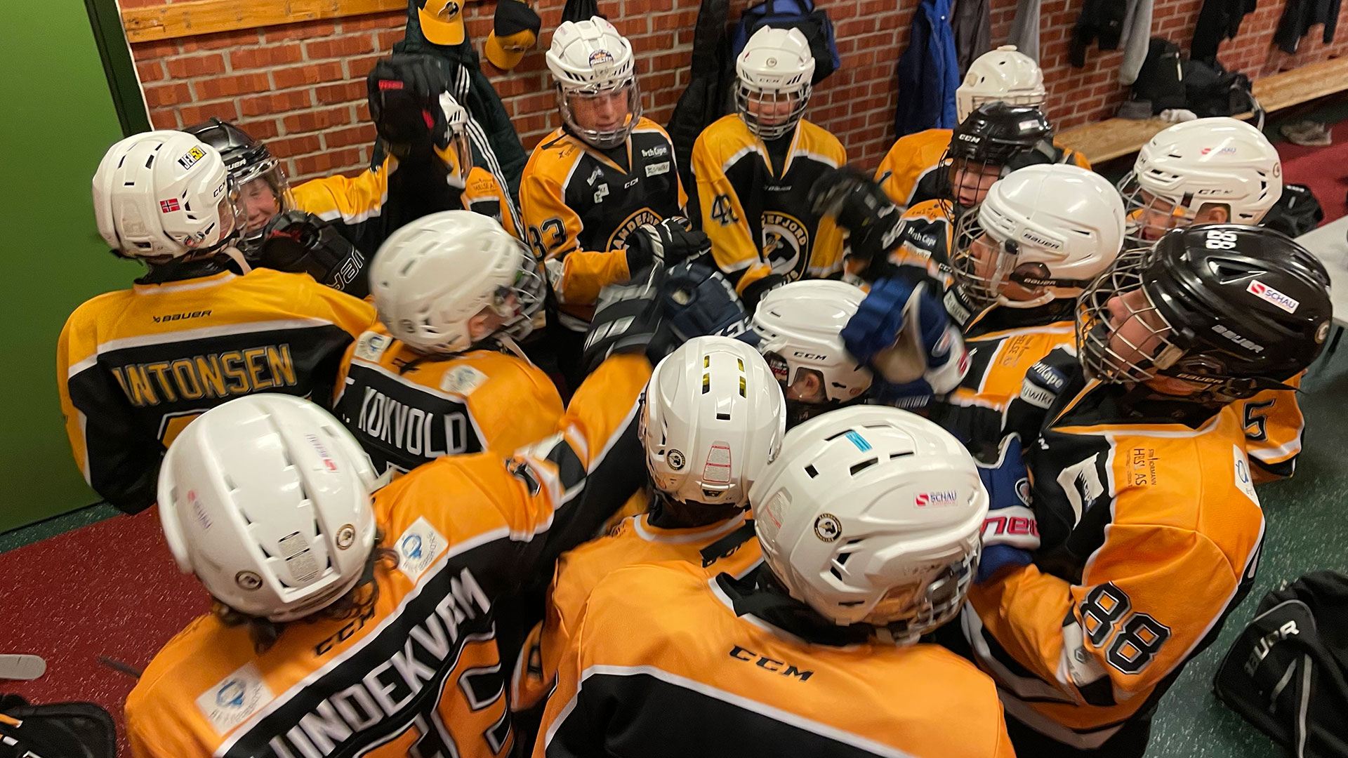 Penguins klare for bortkamp