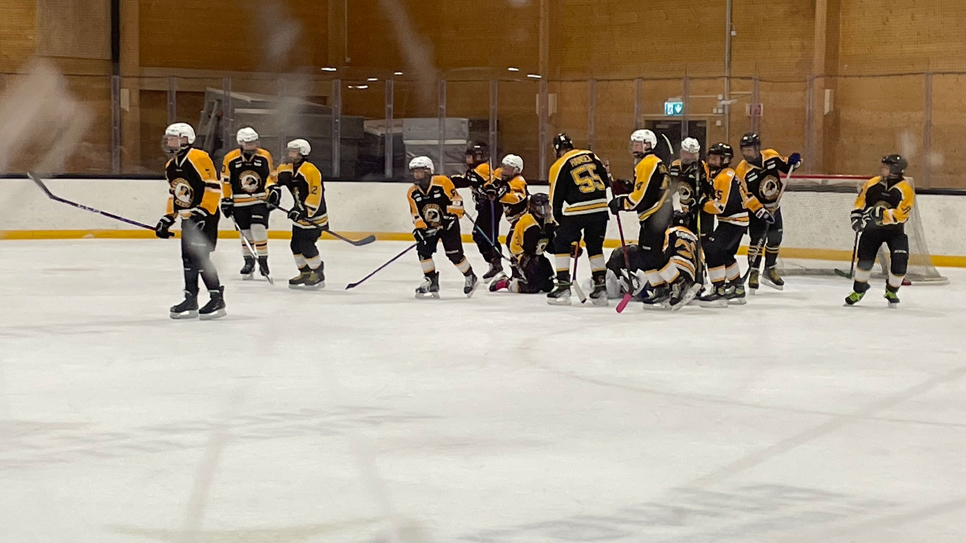 Penguins p&aring; hjemmebane